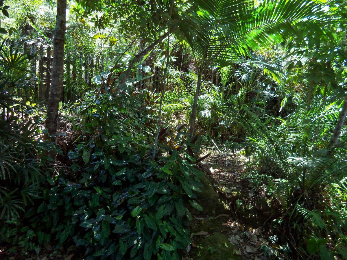 Laguna Guarujá Buitenkant foto